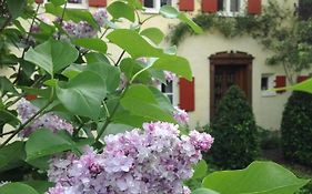 Haus Probst Am See