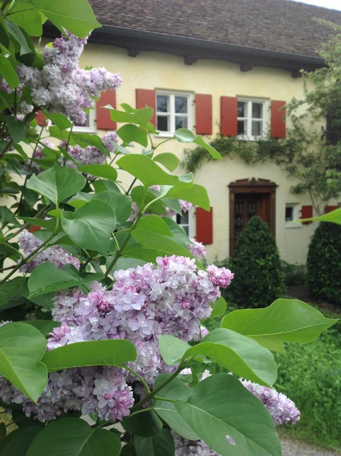 Haus Probst Am See Bed and Breakfast Schondorf am Ammersee Buitenkant foto